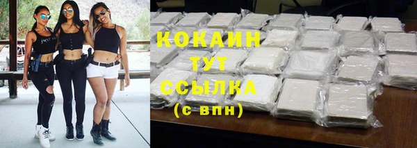 индика Белокуриха