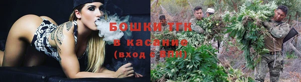 индика Белокуриха