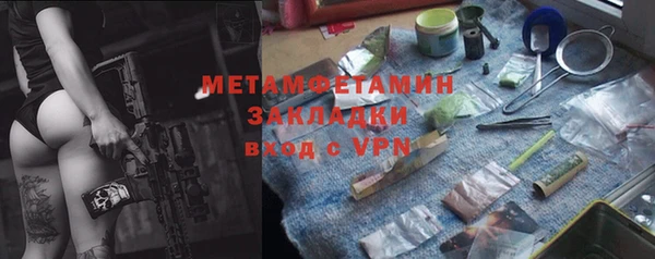 индика Белокуриха